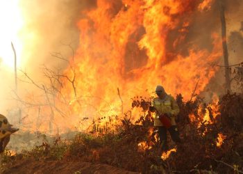 Indígenas brasileiros enfrentam floresta amazônica mais seca