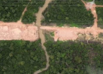 Trump acusa Brasil de destruir Amazônia para construir estrada antes da COP-30