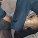 Polícia apreende 121 tabletes de cocaína em pneus de carreta com soja