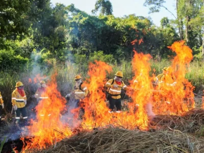 Brigadas do Pantanal aprendem fogo controlado para evitar incêndios