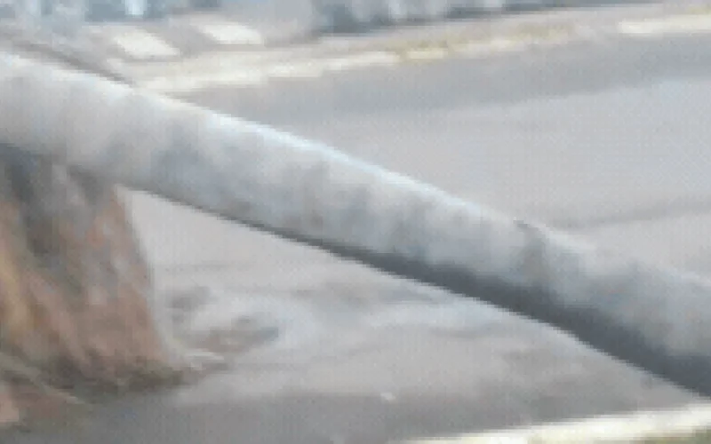 Temporal abre cratera e derruba palmeira em avenida do Guanandi