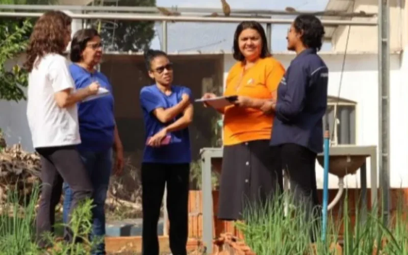 Projetos sociais transformam a realidade do Parque do Lageado