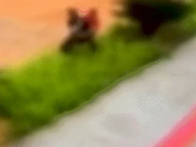 Fiquei com medo de morrer", diz mulher arrastada por ladrão