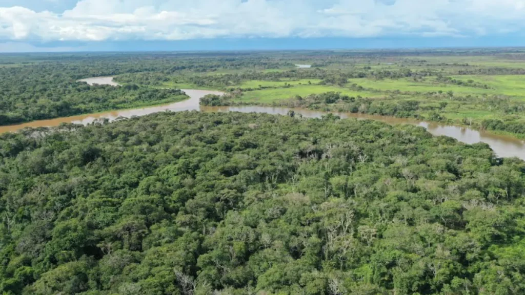 ICMBio aprova plano que destina 95% de reserva à proteção da onça-pintada