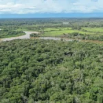 ICMBio aprova plano que destina 95% de reserva à proteção da onça-pintada