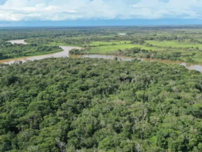 ICMBio aprova plano que destina 95% de reserva à proteção da onça-pintada