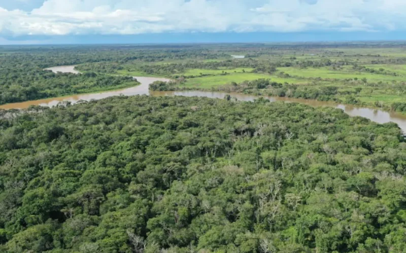 ICMBio aprova plano que destina 95% de reserva à proteção da onça-pintada