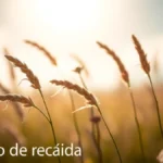 Prevenção de recaída: estratégias que ajudam a manter a sobriedade