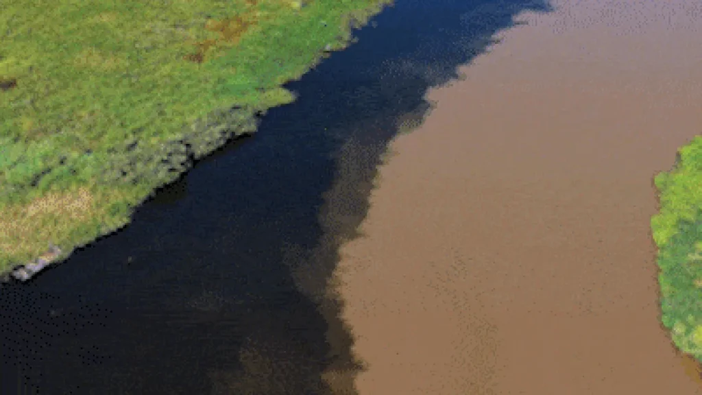 Encontro de rios cria contraste belíssimo no Pantanal