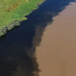 Encontro de rios cria contraste belíssimo no Pantanal