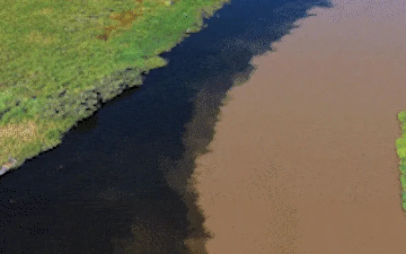 Encontro de rios cria contraste belíssimo no Pantanal