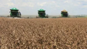Governo e agro não fecham acordo sobre dívidas