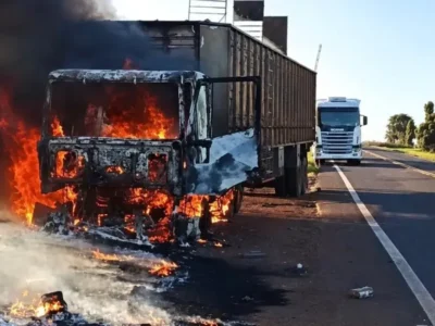 Bois são soltos em rodovia após carreta pegar fogo no MS