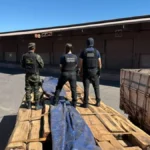 Laudo preliminar nega cocaína em maior apreensão de madeira