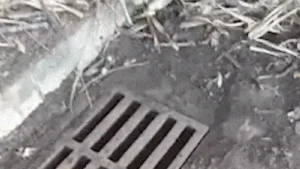 Morador denuncia limpeza que volta para o bueiro