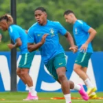 MS: 12 bebês registrados como Endrick na Copa