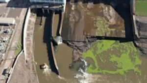Usina faz novo vertimento para conter plantas que sufocam o Rio Pardo
