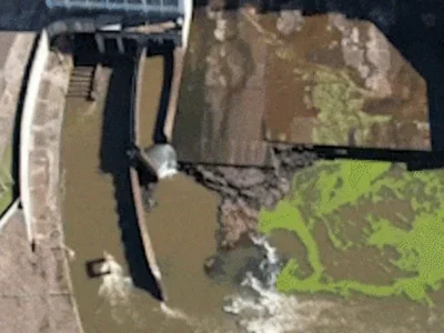 Usina faz novo vertimento para conter plantas que sufocam o Rio Pardo
