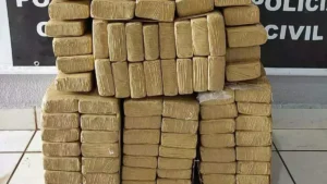 Jovem é preso com 394 kg de maconha em MS-164