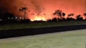 Incêndio de grandes proporções atinge mata em Chapadão do Sul