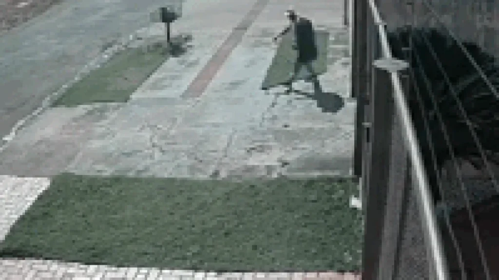 Ladrão foge com TV nas costas após invadir casa na Vila Ipiranga