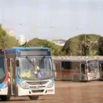 Campo Grande está entre capitais com maior subsídio ao transporte